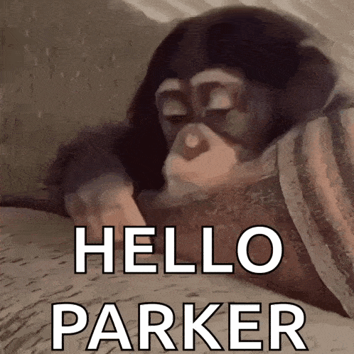 a baby chimpanzee is laying on a bed with the words `` hello parker '' written on it .