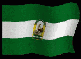 a green and white flag with a picture of jesus in the center