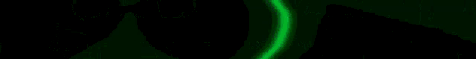 a green background with the word liquidtopia in white letters