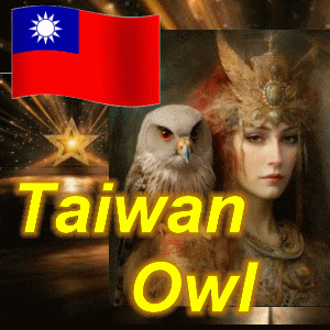 a picture of a woman and an owl with the words taiwan owl on the bottom