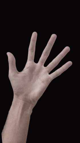 a close up of a hand with five fingers extended