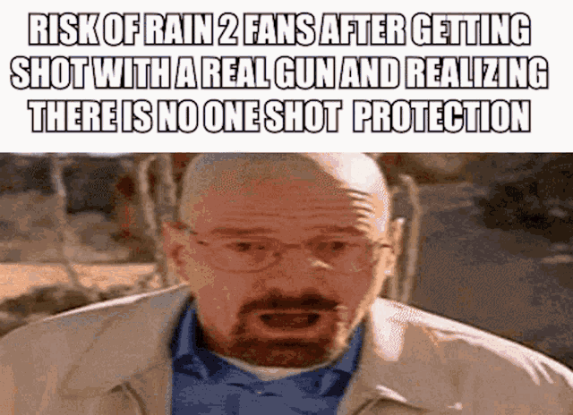 a man with glasses and a beard is talking about the risk of rain 2 fans