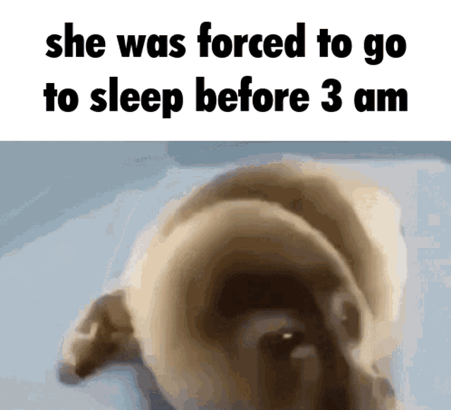 She Was Forced To Go To Sleep She GIF - She Was Forced To Go To Sleep She Was GIFs