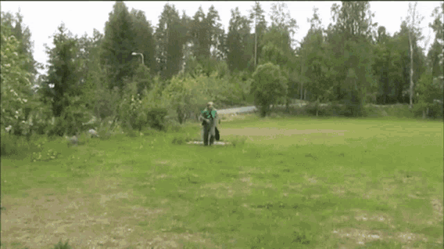a man in a green shirt stands in a grassy field