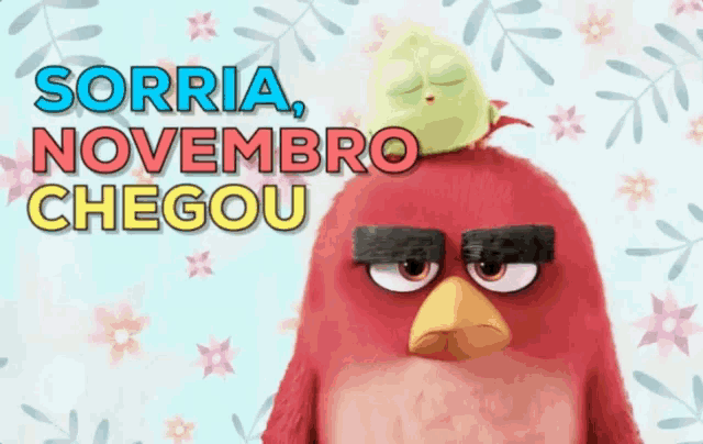 an angry bird with a chick on its head with the words sorria novembro chegou