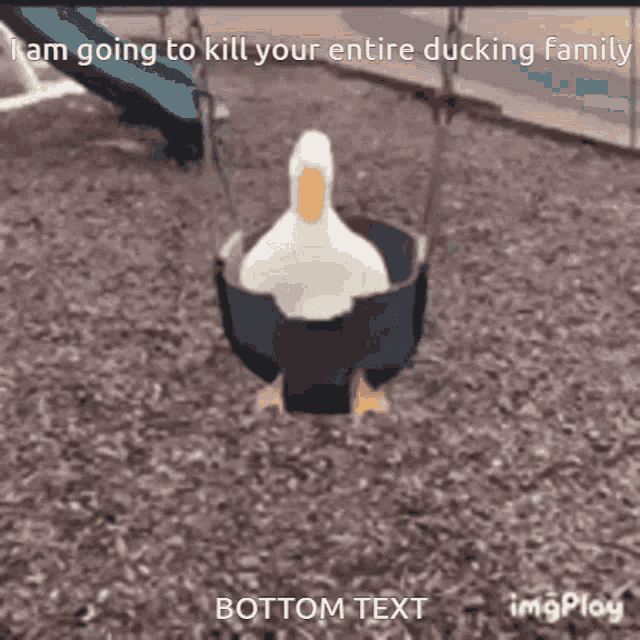 Duck Family GIF - Duck Family Ducking GIFs