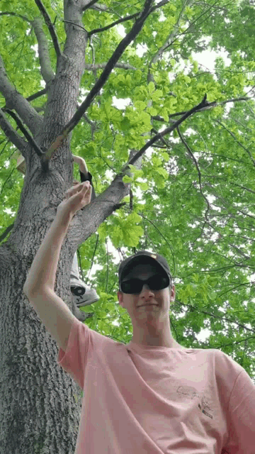 a man wearing sunglasses and a baseball cap is standing in front of a tree