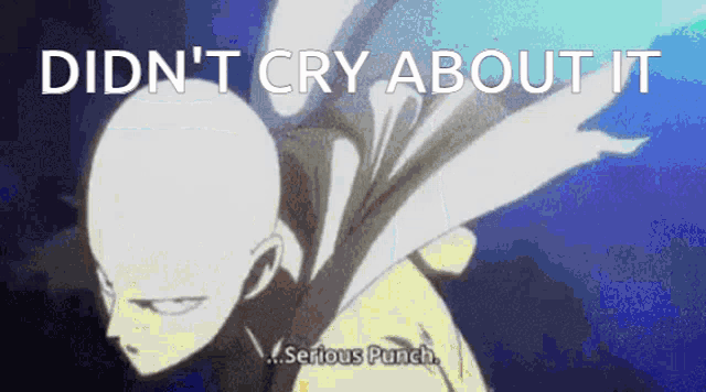 Serious Punch One Punch Man GIF - Serious Punch One Punch Man Cry About It GIFs