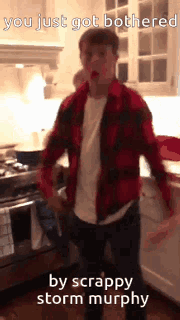 a man in a red plaid shirt is standing in a kitchen with the words you just got bothered