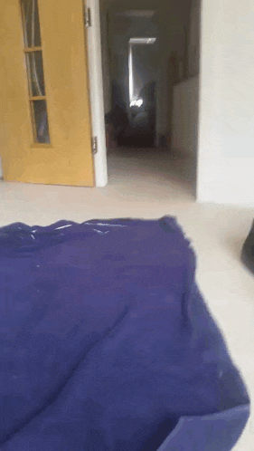 a blue blanket is laying on the floor in front of a wooden door