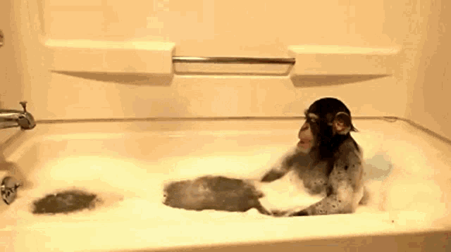 Monkey Taking A Bath GIF