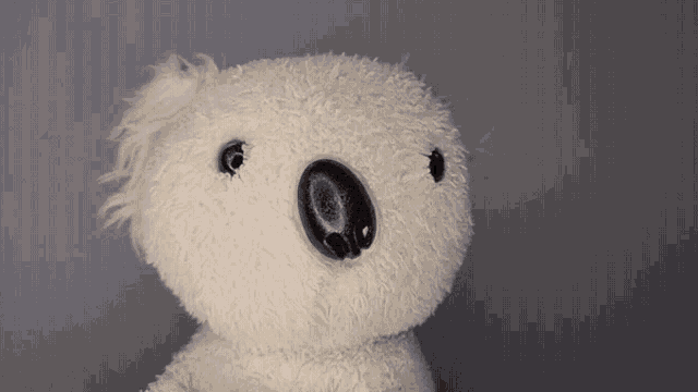 a white teddy bear with a black nose