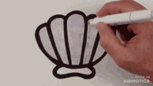 a person is drawing a shell with a white marker