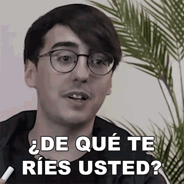 a man wearing glasses says " de que te ries usted " in front of a palm tree
