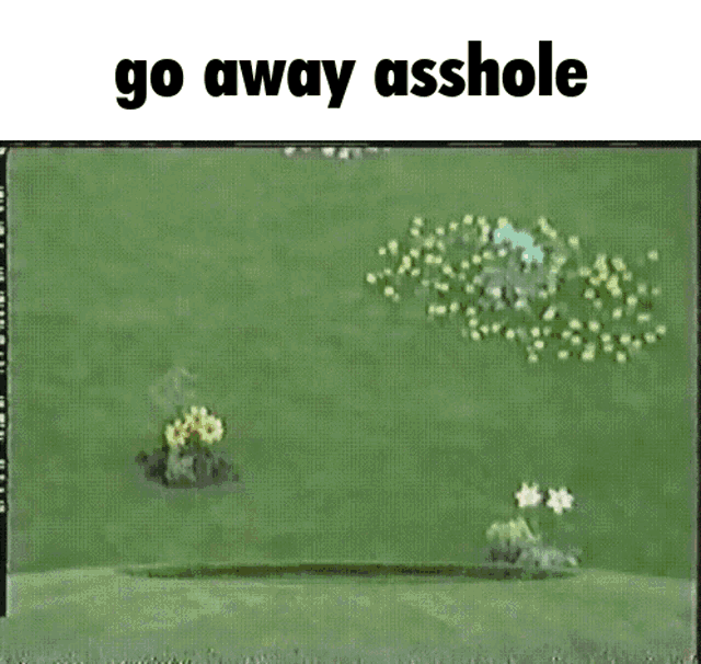 Po Go Away Asshole GIF - Po Go Away Asshole GIFs