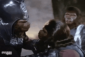 a couple of monkeys standing next to each other on a planet of the apes movie .