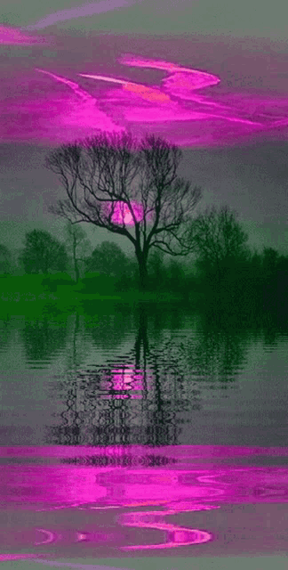 a tree in the middle of a lake with a pink sky