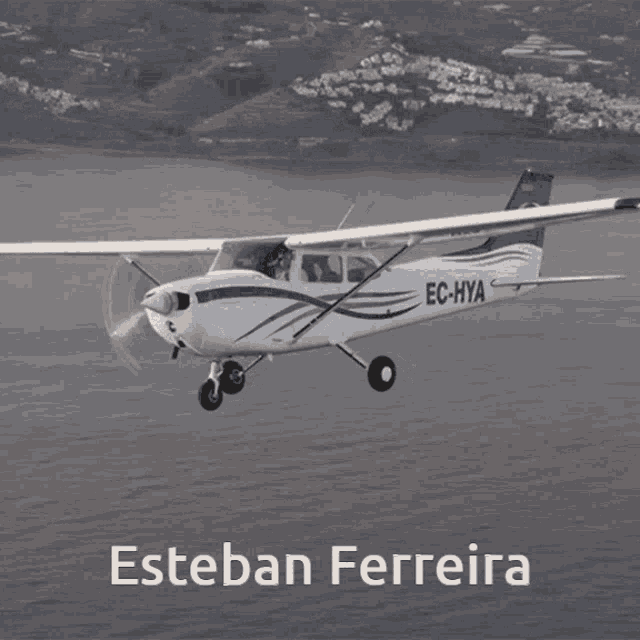 Esteban Ferreira Airplane GIF - Esteban Ferreira Airplane Esteban Ferreira Volando GIFs