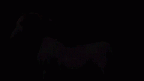Horse Lightning GIF - Horse Lightning Image GIFs