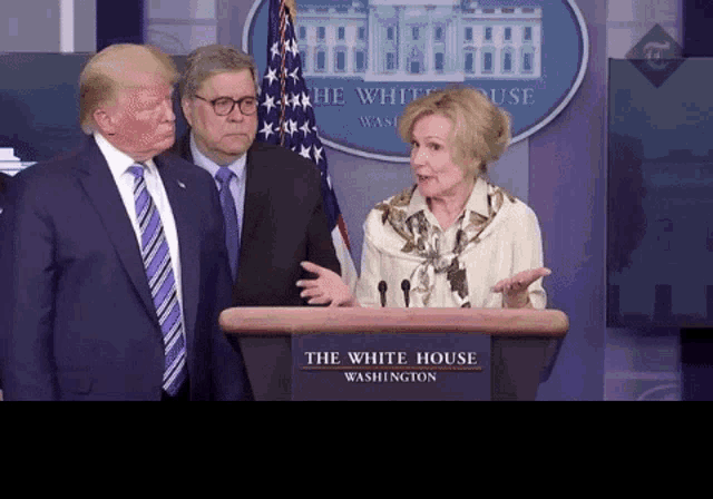 Funny Donald Trump GIF - Funny Donald Trump Hilarious GIFs
