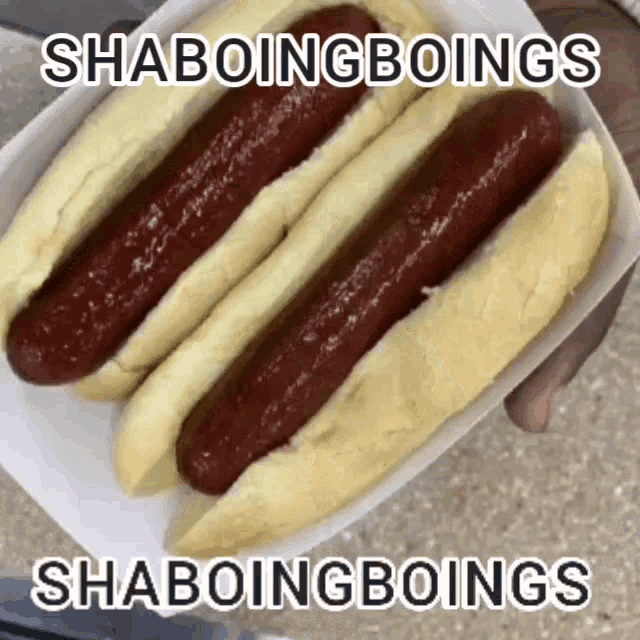 Shaboingboing Shaboingboings GIF