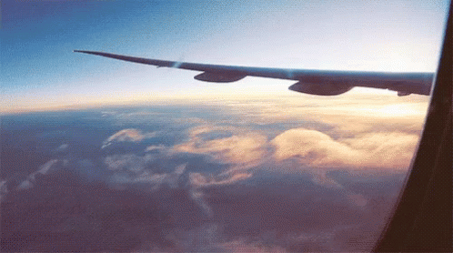 Airplane View GIF - Airplane View Wing GIFs