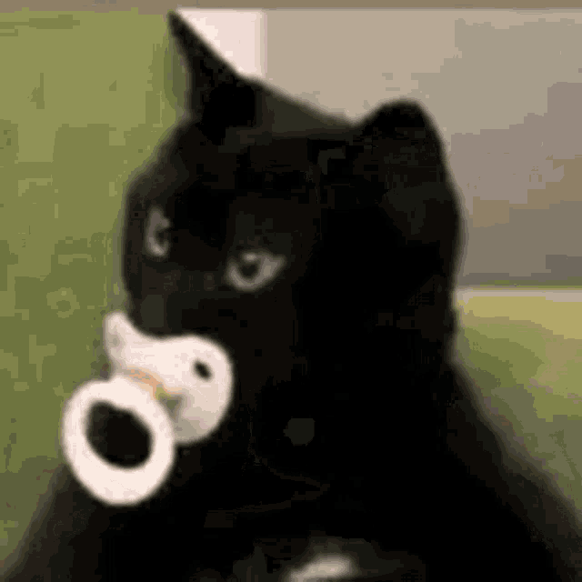 a black cat is sitting on a couch holding a pacifier in its mouth .