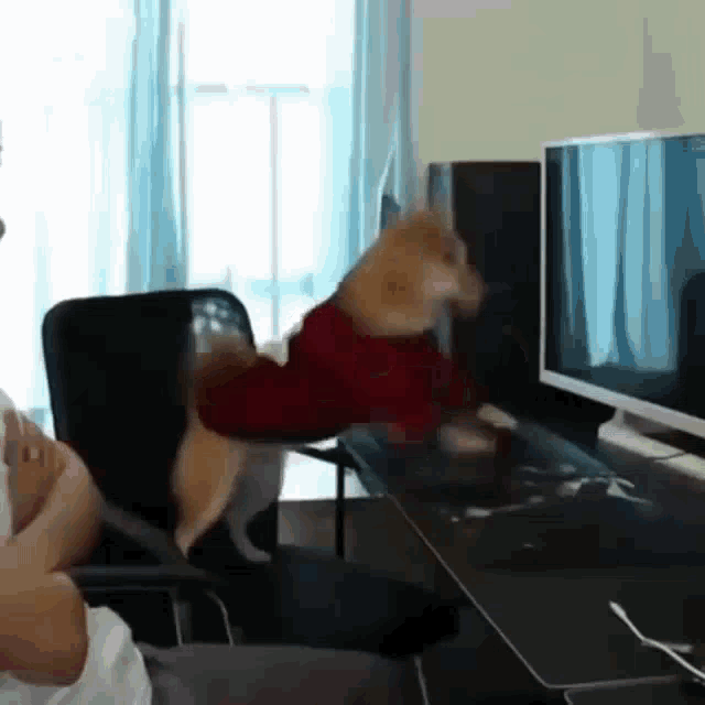 Doge Rage GIF - Doge Rage Keyboard GIFs