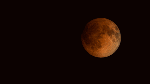 a full moon is visible in the dark