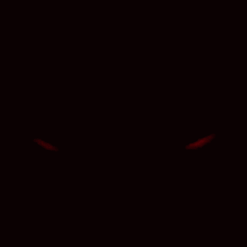 a pair of red eyes in the dark .