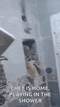 a cat is playing in a shower with a caption that says `` chet is home playing in the shower '' .
