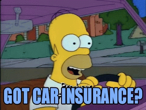 Car Insurance Simpsons GIF