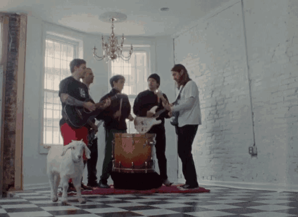 a group of men playing instruments in a room with a goat in the foreground
