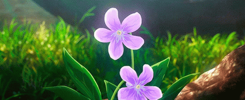 Anime Flowers Flowers Anime GIF