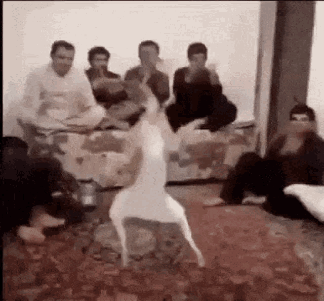 a group of people are sitting on a couch watching a dog dancing in a living room .