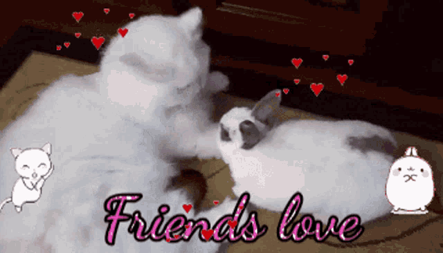 Sueste Princes True Friends GIF - Sueste Princes True Friends Bunny Loves Cat GIFs