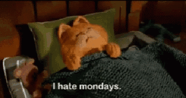 garfield the cat is laying in bed with a green pillow and a green blanket and says `` i hate mondays '' .