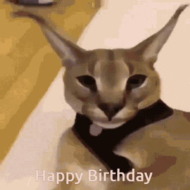 Floppa Happy Birthday Floppa GIF - Floppa Happy Birthday Floppa Happy Birthday GIFs