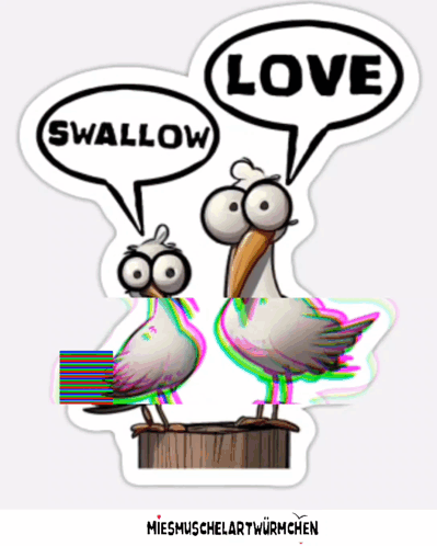 Seagulls Love GIF - Seagulls Love Nope Nope Nope GIFs