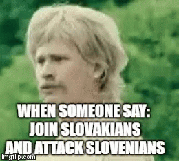 Slovenia Slovakia Slovakiaslovenia GIF - Slovenia Slovakia Slovakiaslovenia Thefuq GIFs