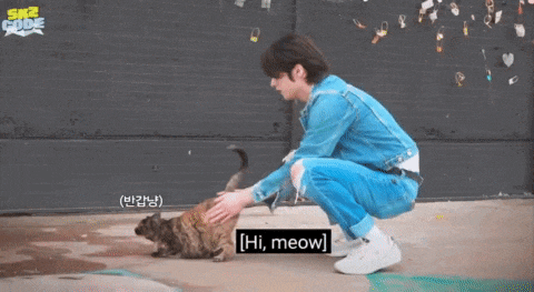 a man kneeling down petting a cat with a sign that says sure meow on it