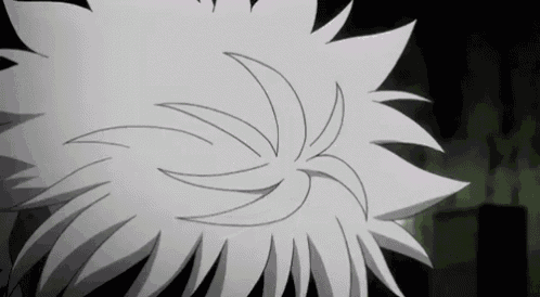 Killua Zoldyck Hunter X Hunter GIF