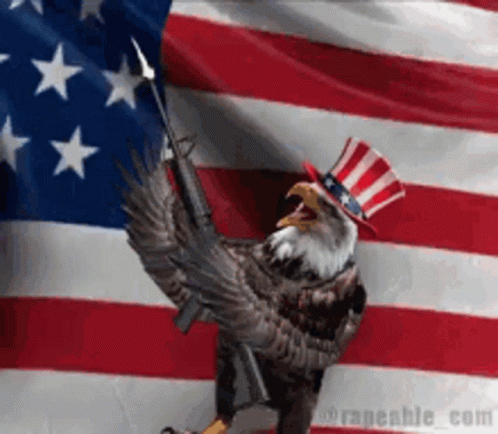 America Flag GIF - America Flag Eagle GIFs