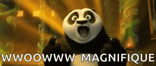 Kung Fu Panda Amazed GIF - Kung Fu Panda Amazed Not Bad GIFs