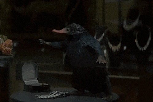 a small black bird is standing on a table next to a necklace and a ring box .