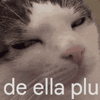 a close up of a cat 's face with the words de ella plu written below it .