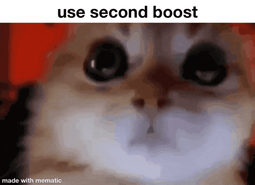 a close up of a cat 's face with the words " use second boost " above it