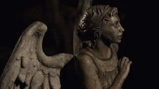 Weeping Angels Whovian GIF - Weeping Angels Whovian Doctor Who GIFs