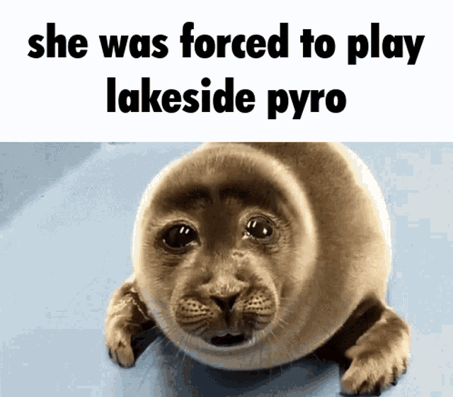 Lakeside Pyro GIF - Lakeside Pyro GIFs