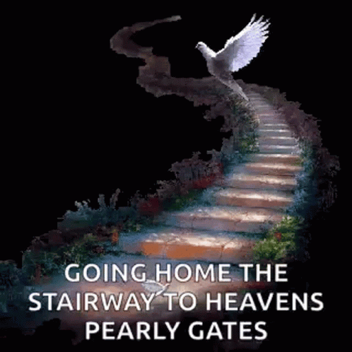 Stairway To Heaven Going Home The Stairway To Heavens Pearly Gates GIF - Stairway To Heaven Going Home The Stairway To Heavens Pearly Gates Dove GIFs